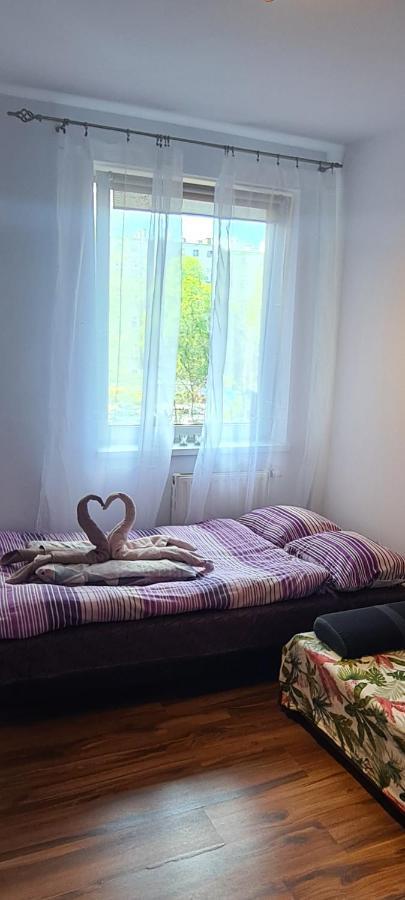 Sweet Home & Sweet Cats & Fast Internet Wrocław Eksteriør billede